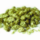 Illustration for article titled Drinking Experimental Hops in the Sixpoint Beer of the Future